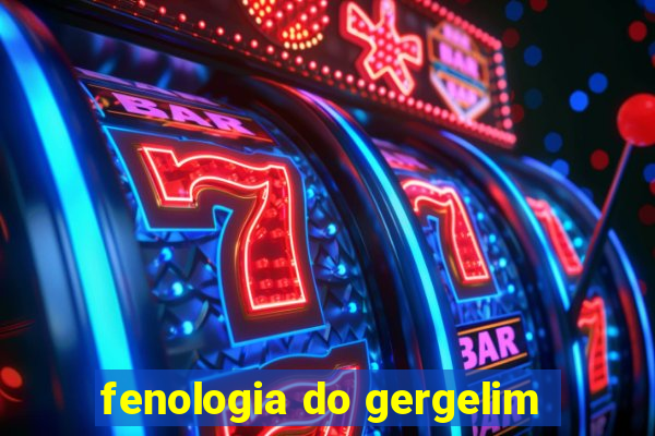 fenologia do gergelim